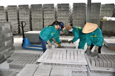 Nguồn vốn ngân hàng đã và đang hỗ trợ tích cực cho hoạt động sản xuất cuối năm của doanh nghiệp. (Ảnh: Sản xuất gạch không nung tại Công ty CP Dịch vụ môi trường Đông Khê).