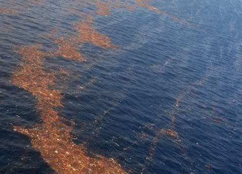 Rác ngoài khơi bờ biển của Nhật Bản sau thảm họa sóng thần (Ảnh: noaa.gov)