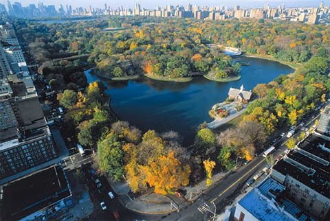 Công viên Trung tâm ở New York. Ảnh: Libertyharborrv