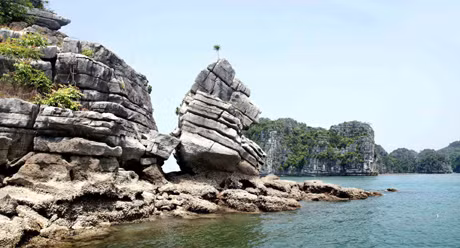 Trùng điệp.