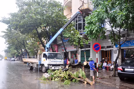 Công ty đô thị môi trường khắc phục hậu quả do mưa bão gây ra.