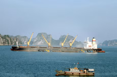 Tàu chuyển tải trên Vịnh Hạ Long.
