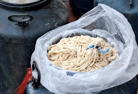 Lòng lợn nhét vào thùng như lấy thức ăn thừa