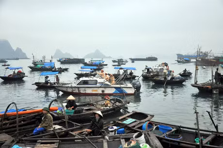 Lực lượng chức năng tuyên truyền, vận động ngư dân về điểm kinh doanh tại cảng cá chợ Hạ Long 1.