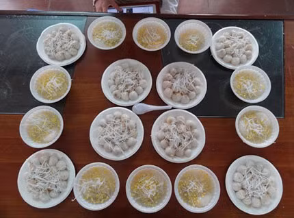 Bánh trôi được nhiều gia đình dâng cúng Rằm tháng Giêng để mong mọi việc trôi chảy, hạnh phúc tròn đầy.