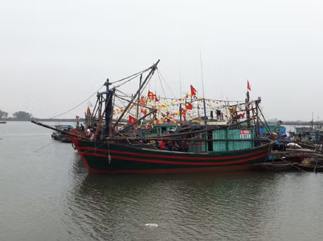 Khu vực Cảng cá Bến Giang vào ngày lễ được trang trí trang hoàng bởi cờ và phướn thả, những chiếc tàu thuyền chăng cờ kết hoa cập bến đỗ được xếp hàng ngay ngắn.