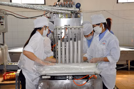 Hiện nay tỉnh đang chủ trương đẩy mạnh hoạt động triển khai ứng dụng tiến bộ khoa học, kỹ thuật thông qua các tổ chức KH&CN. Ảnh: Hoạt động sản xuất tại Công ty cổ phần kỹ nghệ thực phẩm Thái Lan (Hà Khẩu, TP Hạ Long). Ảnh: Hoàng Quý