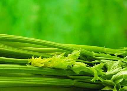 Cần tây rất giàu vitamin B có thể giúp phá vỡ những phân tử rượu nhanh chóng