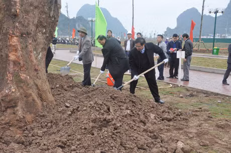 Đồng chí Phạm Minh Chính, Ủy viên T.Ư Đảng, Bí thư Tỉnh ủy tham gia trồng cây xanh tại công viên.