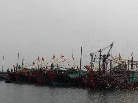 Đúng 10h00’ ngày 15 tháng 2 (tức mùng 6 Tết ), 9 chiếc tàu cá được trang trí cờ, hoa tham gia nghi lễ bắt đầu xuất hành khởi đầu xuân - đón mùa vụ đánh bắt mới bội thu trong sự chứng kiến của các đồng chí lãnh đạo địa phương và đông đảo bà con nhân dân trên địa bàn. 