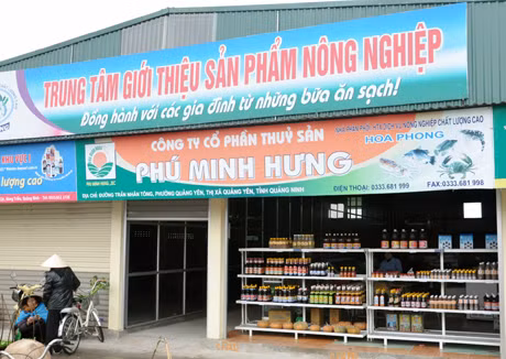 Trung tâm giới thiệu sản phẩm nông nghiệp sạch của HTX Hoa Phong tại chợ Cột (Đông Triều) đã trở thành địa chỉ tin cậy cho bà con nông dân.
