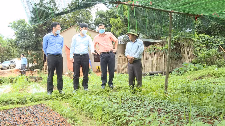 Đoàn công tác tham quan một số mô hình phát triển kinh tế trên địa bàn huyện Ba Chẽ
