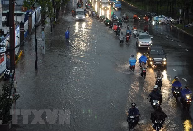 Ảnh minh họa. (Ảnh: Xuân Dự/TTXVN)