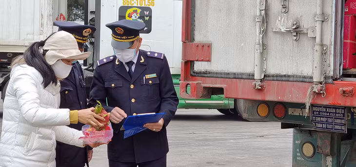 Chi cục Hải quan cửa khẩu Móng Cái, Kiểm tra giám sát hàng nông sản xuất khẩu qua khu vực cầu phao Km3+4, phường Hải Yên, TP Móng Cái.