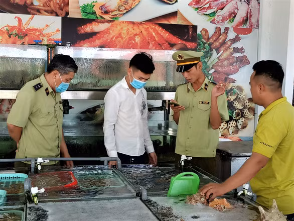 Đội kiểm tra liên ngành của TP Nha Trang đến kiểm tra nhà hàng hải sản Tháp Bà 86 vào ngày 26-4 - Ảnh: MINH CHIẾN