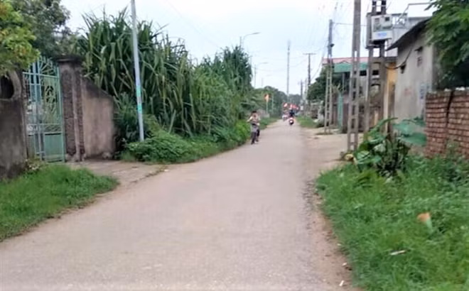 Con ngõ dẫn vào nhà nạn nhân bị sát hại.