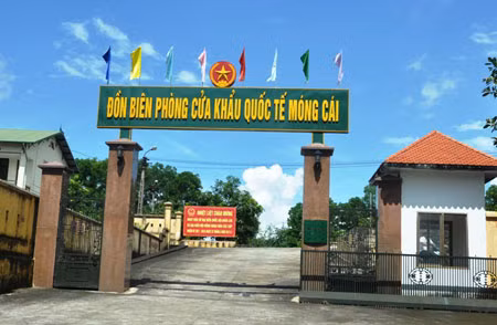 Ảnh minh họa.