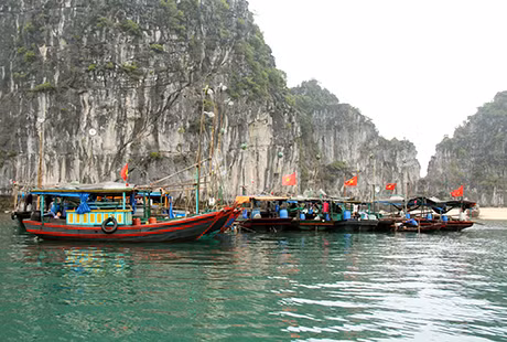 Ảnh minh họa.