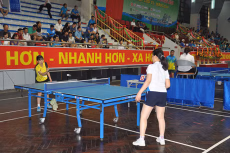 Thi đấu nội dung bóng bàn