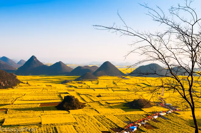 Từ trên cao nhìn xuống những ngọn núi trập trùng nhấp nhô trên những thung lũng hoa vàng tạo nên khung cảnh đẹp mê hoặc.