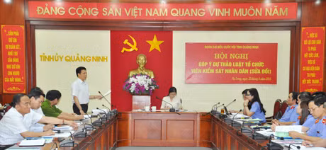 Đồng chí Trần Xuân Cương, Uỷ viên Thường trực HĐND tỉnh tham gia ý kiến vào dự thảo luật.
