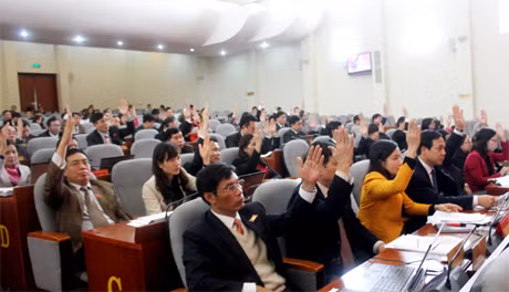 Các đại biểu 