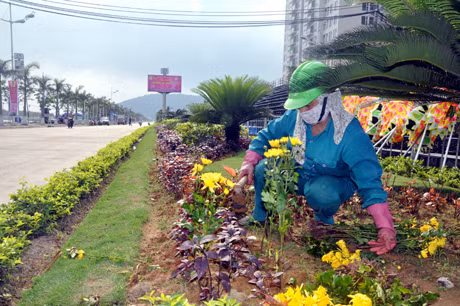 Trồng hoa, làm đẹp thêm cho thành phố.