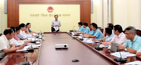 Đồng chí Đỗ Thông, Phó Chủ tịch Thường trực UBND tỉnh phát biểu kết luận tại cuộc họp.