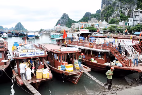 Tàu khách “chen vai” tại cảng Cái Rồng chuyển hàng và khách từ đất liền ra các xã đảo của huyện Vân Đồn. Ảnh: Đại Dương