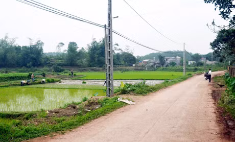 Gần 2km đường liên thôn của xã Đông Hải được thắp sáng về đêm từ chương trình “Điện thắp sáng đường quê”.