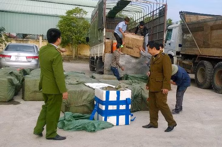 Đội QLTT số 4 TP Móng Cái