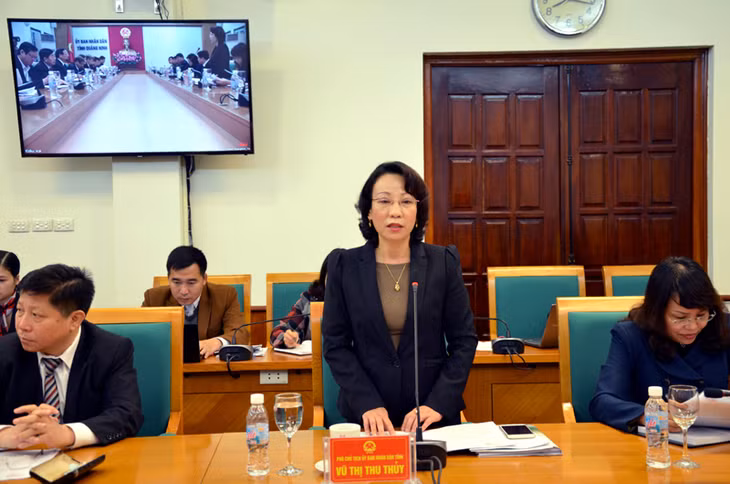 Đồng chí Vũ Thị Thu Thủy, Phó Chủ tịch UBND tỉnh phát biểu tại buổi làm việc