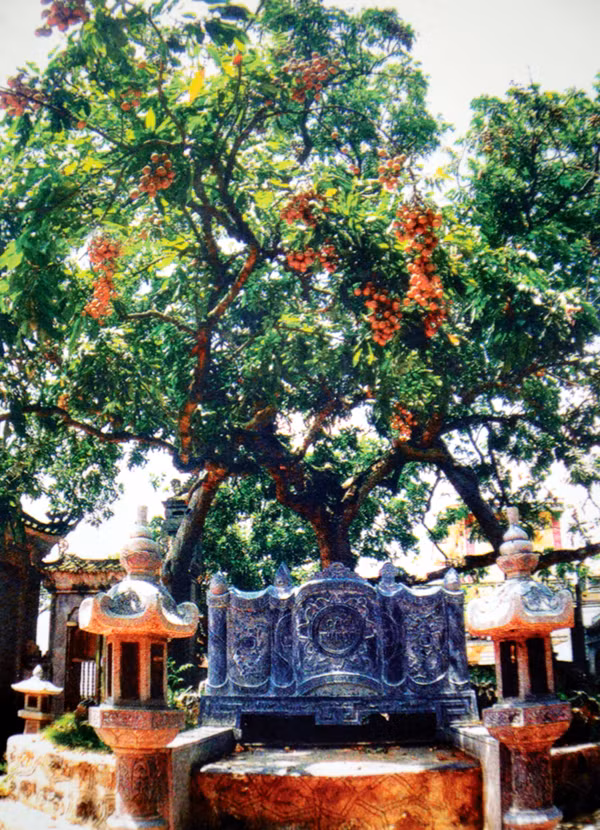 Kế đến là Chùa Hiến (còn gọi là Thiên Ứng Tự) có bố cục kiến trúc kiểu “nội công ngoại quốc”. Phía trước sân chùa có hai tấm bia đá lưu giữ nhiều tư liệu lịch sử nói lên quá trình tự cư của thương cảng Phố Hiến. Đặc biệt ở sân chùa có cây nhãn Tiến Vua, thường được gọi là cây nhãn Tổ, có niên đại hơn 300 năm, quả ngọt sai trĩu trịt.