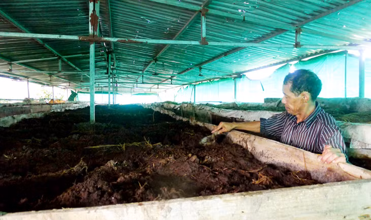 Mô hình nuôi giun quế mang lại hiệu quả kinh tế cao cho gia đình anh Trần Văn Đạt, xã Cộng Hoà, TP Cẩm Phả.