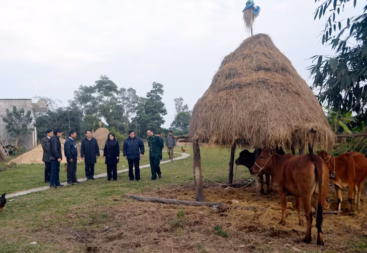Đồng chí Vũ Thị Thu Thủy – Phó Chủ tịch UBND tỉnh kiểm tra công tác phòng chống rét gia súc tại bản Quảng Mới, xã Quảng Sơn, Hải Hà