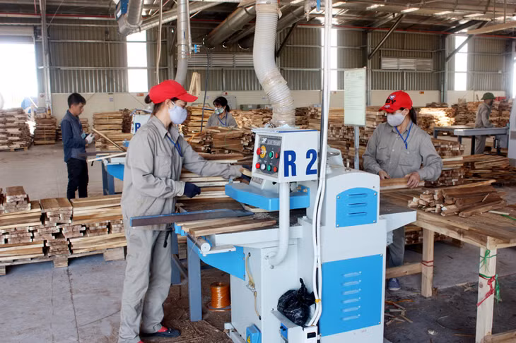 Chế biến gỗ tại Nhà máy chế biến gỗ Thanh Lâm xã Tân Bình.