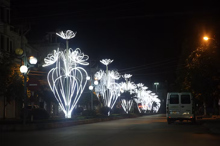 Đường Võ Huy Tâm bừng sáng bởi những cột đèn rực rỡ.