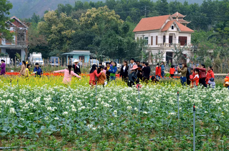 Đông đảo người dân trong và ngoài huyện đã đến tham quan, chiêm ngưỡng bữa tiệc đa sắc màu của những loài hoa ở nơi đây
