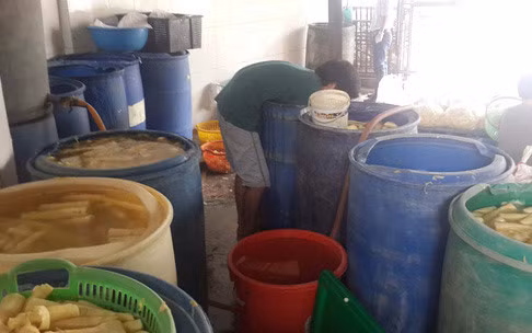 Măng ngâm hóa chất để tạo màu vàng bị công an phát hiện