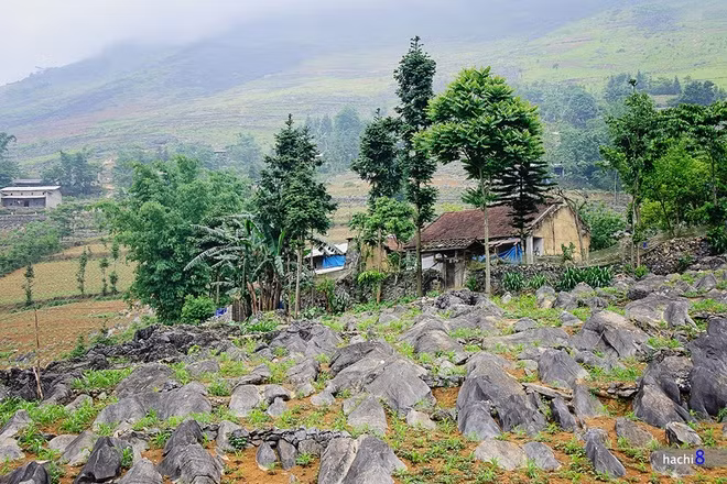  Bãi đá Hải Cẩu tại xã Vần Chải, trên đường từ thị trấn Yên Minh tới Phố Cáo. Những phiến đá nơi đây có hình thù thuôn dài, mềm mại như tấm lưng của sư tử biển, nằm san sát và cùng hướng với nhau như một đàn sư tử biển đang tắm nắng. Theo các nhà địa chất, đàn "sư tử biển" này là một tập đá vôi phân lớp khá dày, màu xám sáng, tinh khiết hơn so với những tập đá vôi phân lớp mỏng ở khu vực lân cận.