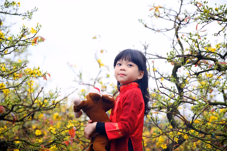 Bé gái xinh tươi bên mai vàng