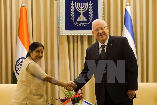 Ngoại trưởng Ấn Độ Sushma Swaraj tại cuộc gặp với Tổng thống Israel Reuven Rivlin. (Nguồn: AFP/TTXVN)