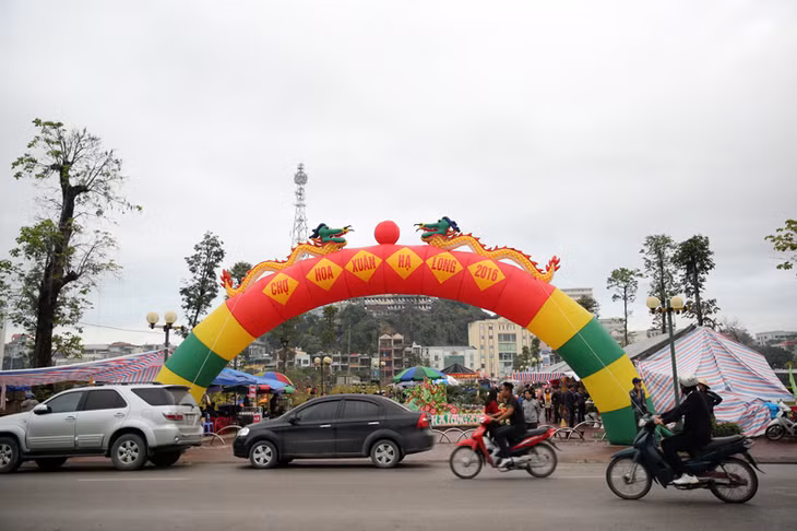 Chợ hoa xuân năm nay tiếp tục được tổ chức tại Công viên Hạ Long.