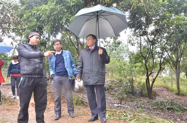 Lãnh đạo TP Móng Cái kiểm tra công tác chống rét cho vật nuôi trên địa bàn.