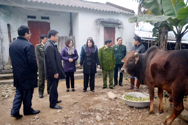  Đồng chí Vũ Thị Thu Thủy – Phó Chủ tịch UBND tỉnh kiểm tra công tác phòng chống rét cho gia súc tại xã Quảng Sơn, Hải Hà