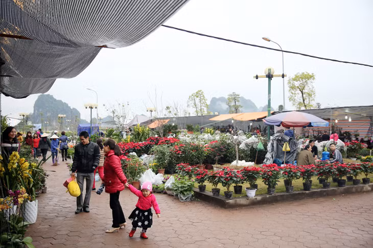 Chợ hoa sôi động ở các khu vực bán hàng.