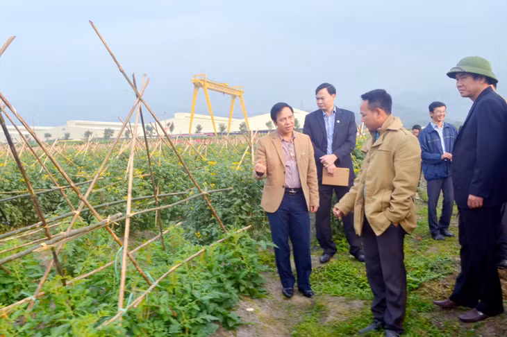 Đồng chí Đặng Huy Hậu, Phó chủ tịch Thường trực UBND tỉnh kiểm tra tình hình sản xuất tại khu nông nghiệp ứng dụng công nghệ cao tại TX Đông Triều