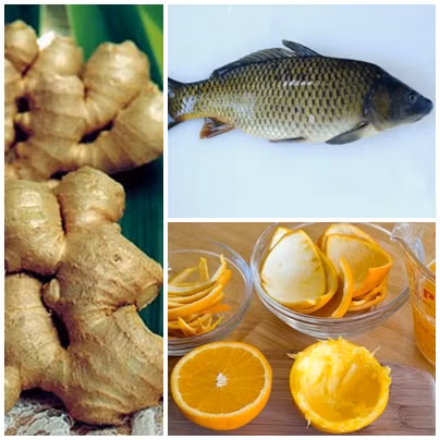 Cá diếc nấu gừng, vỏ quýt trị đau dạ dày do lạnh, tiêu hóa kém.