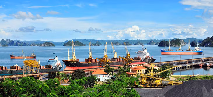 Ngay từ những ngày đầu năm 2016 đã có nhiều tàu hàng vào “ăn” than tại cảng Cửa Ông.