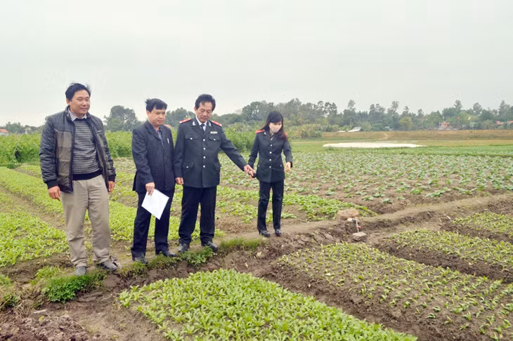 Đoàn thanh tra chuyên ngành kiểm tra thực tế tại nơi sản xuất rau Công ty Việt Long (phường Cộng Hòa, TX Quảng Yên)